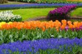/album/photogallery/blossom-22144-640-jpg/
